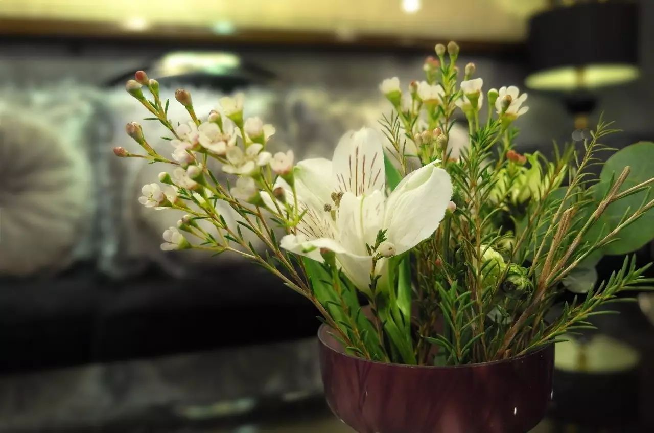 1545963967714026.jpg 7.jpg