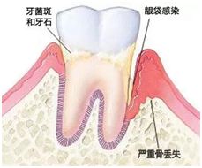 1545976148114856.jpg 4.jpg