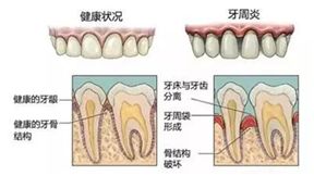 1545976163867994.jpg 3.jpg